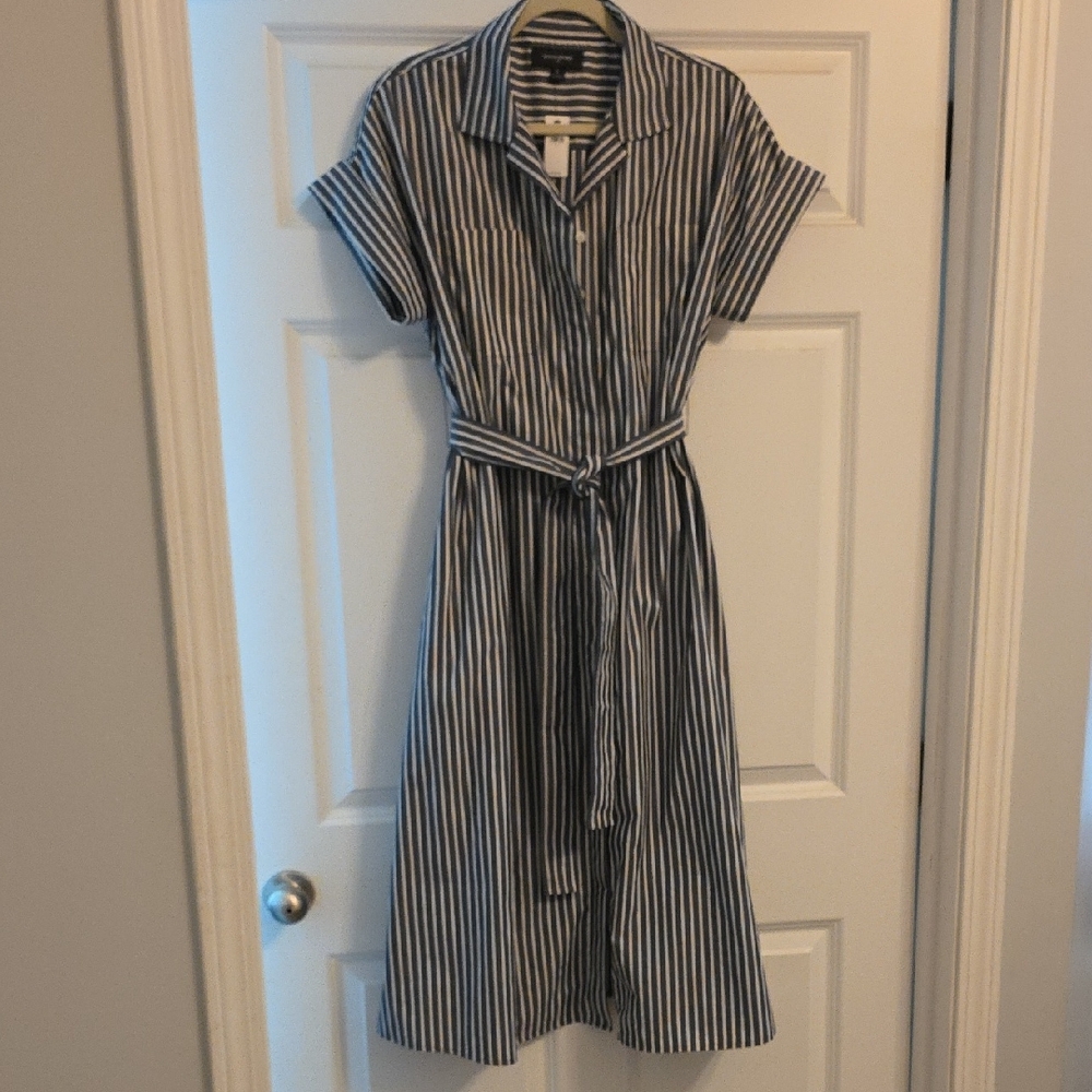 Striped Blue and White Shirt Dress